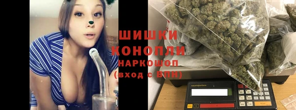 молекула духа Богородицк