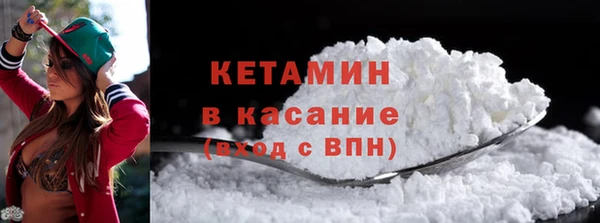 прущие грибы Бородино