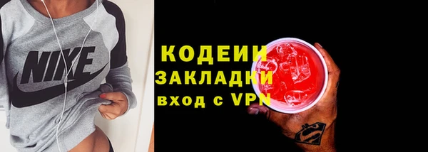 прущие грибы Бородино