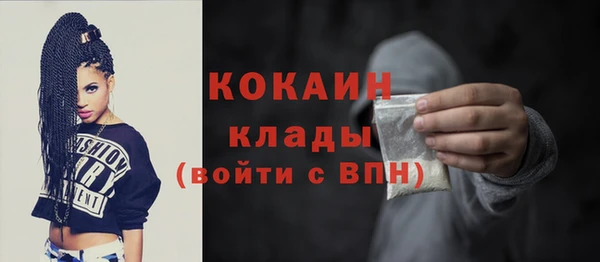 прущие грибы Бородино