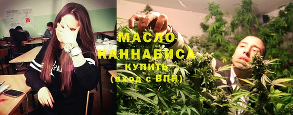 молекула духа Богородицк