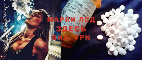 прущие грибы Бородино