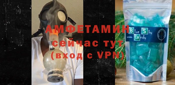 прущие грибы Бородино