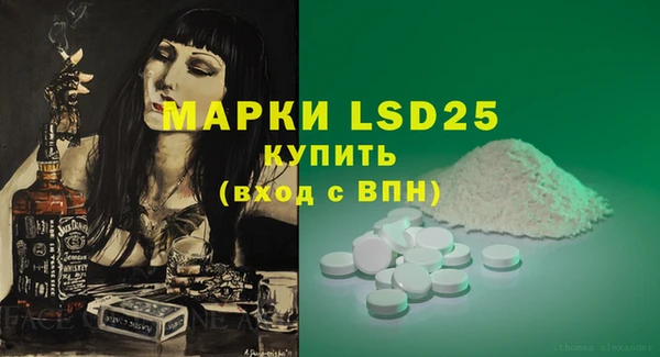 молекула духа Богородицк